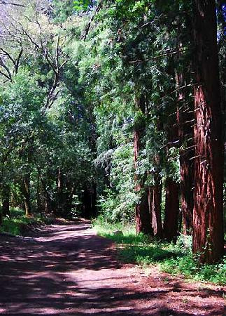 Jack London State Historic Park景点图片