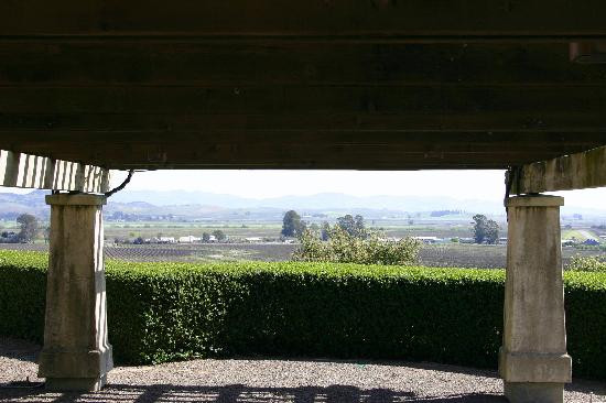 Gloria Ferrer Caves & Vineyards景点图片