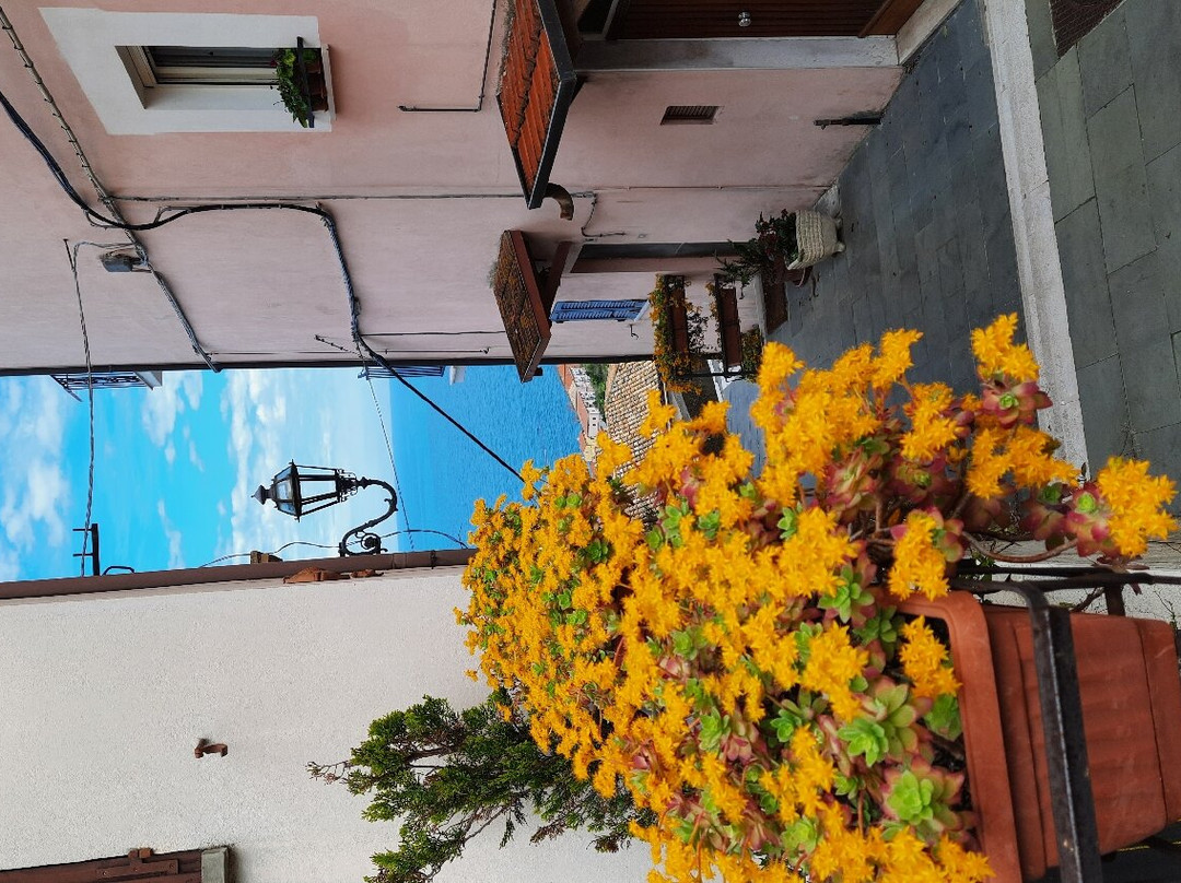 Centro Storico San Vito Chietino景点图片