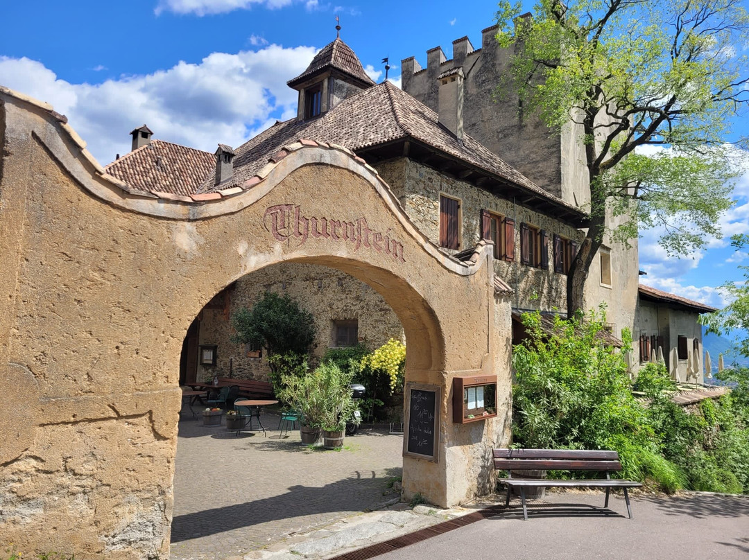 Castle Thurnstein景点图片