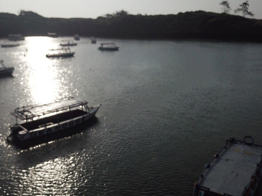 Blue-Fin Diving-马林地必去景点