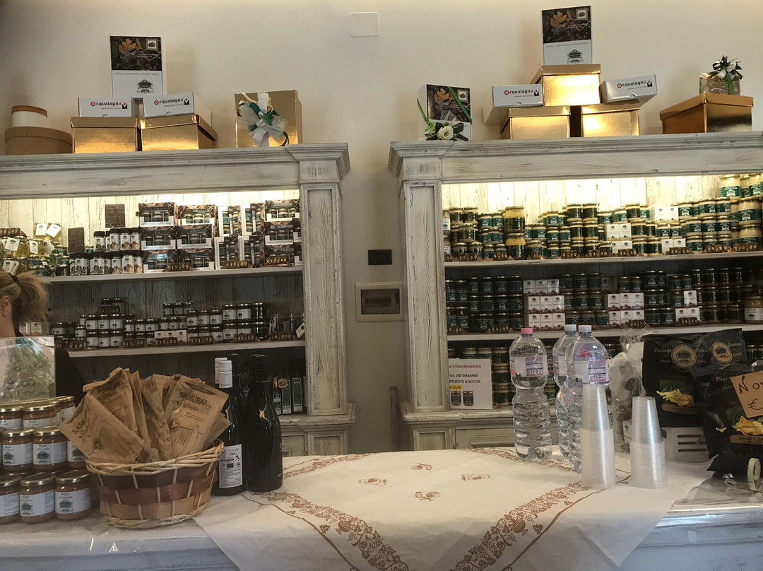 Tartufi di Acqualagna - Truffle Tasting and Shop-Acqualagna必去景点