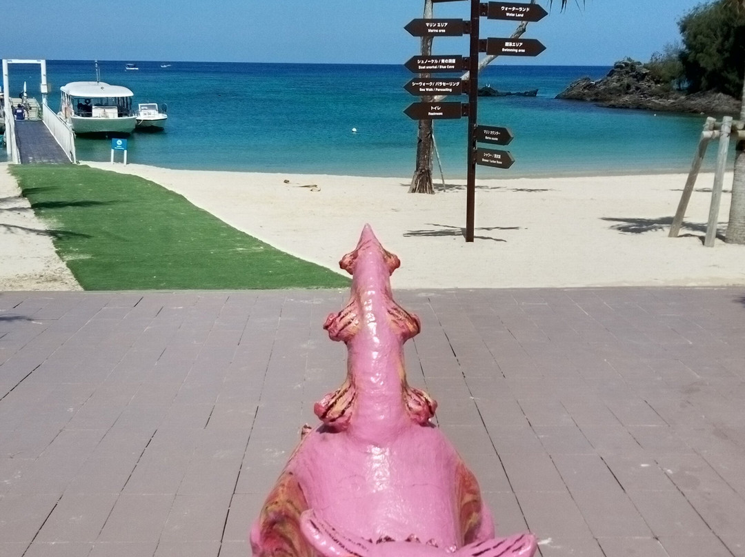 Kariyushi Beach景点图片
