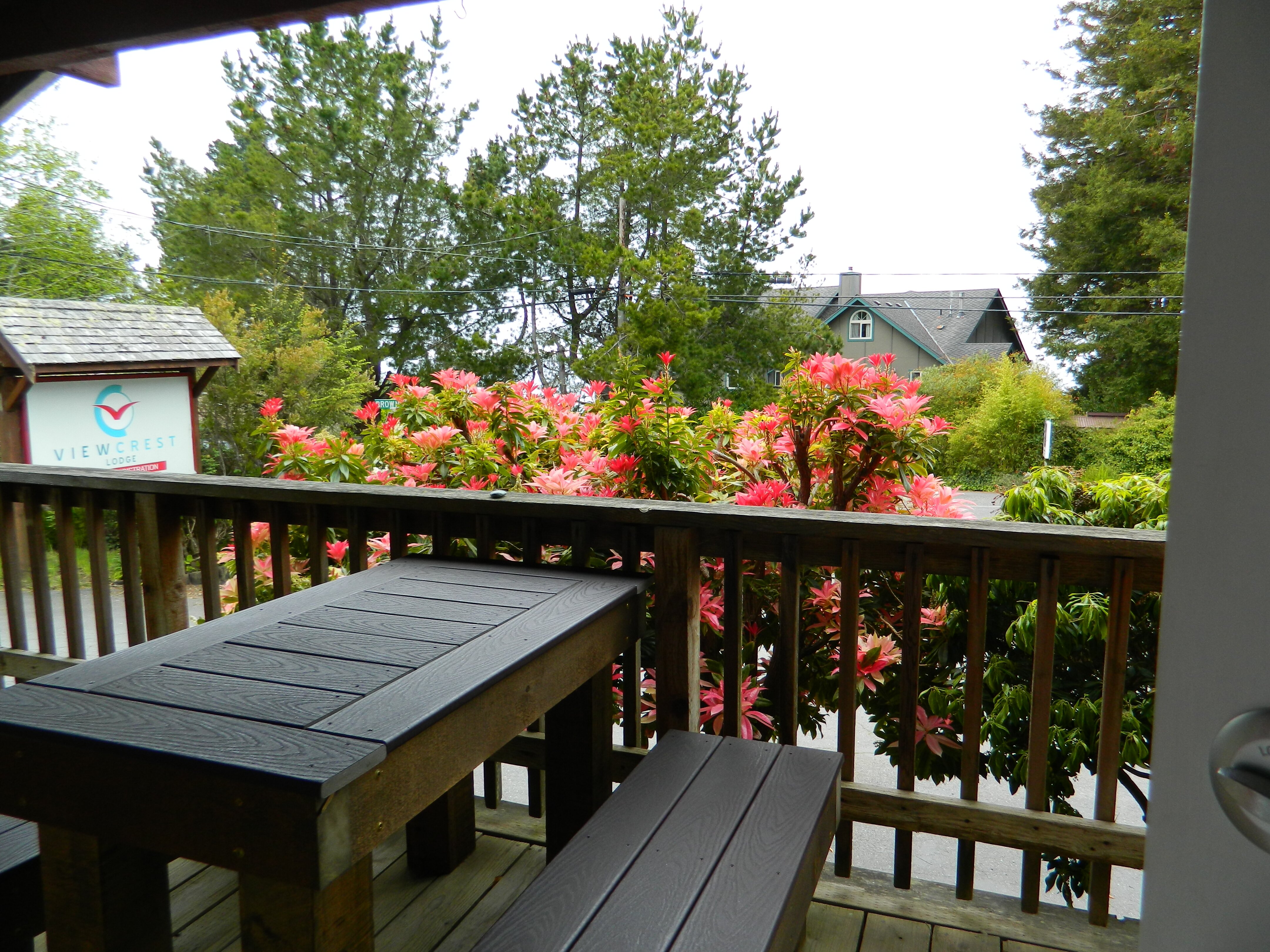 View Crest Lodge-酒店景观