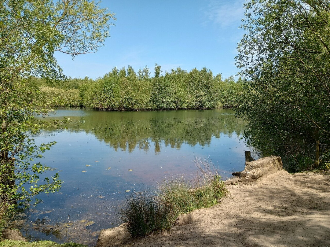 Walton Colliery Nature Park景点图片