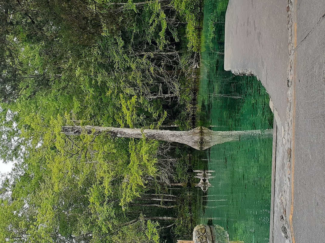 Ponce de Leon Springs State Park景点图片