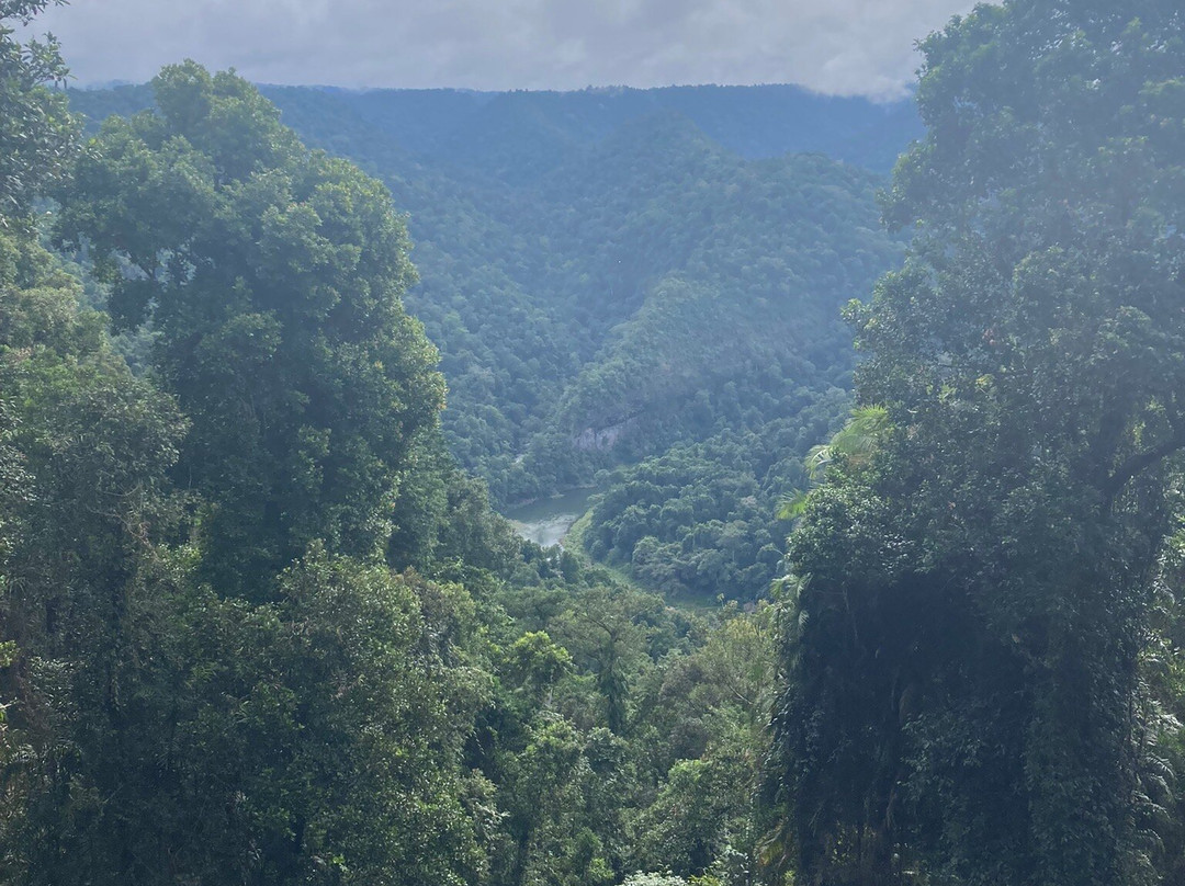 Mamu Tropical Skywalk-因尼斯费尔必去景点
