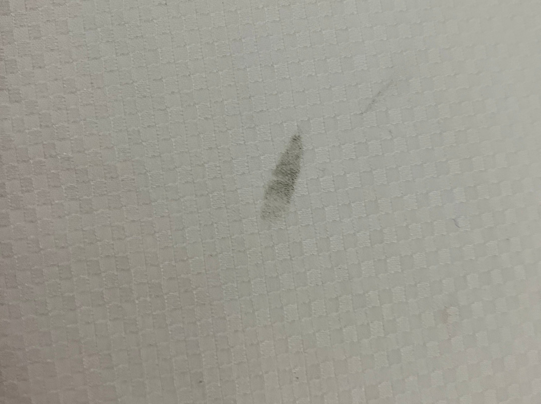 Comfort Inn & Suites Mobile Near Eastern Shore Centre主图