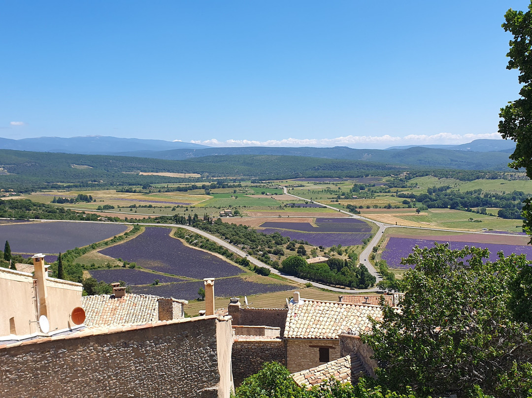 Château Médiéval Simiane-la-rotonde景点图片