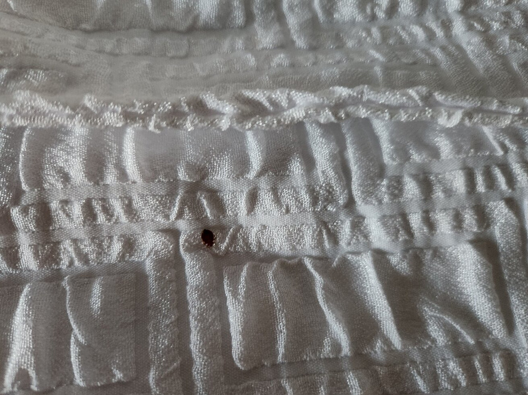 阿尔图斯希尔顿恒庭旅馆&套房酒店主图