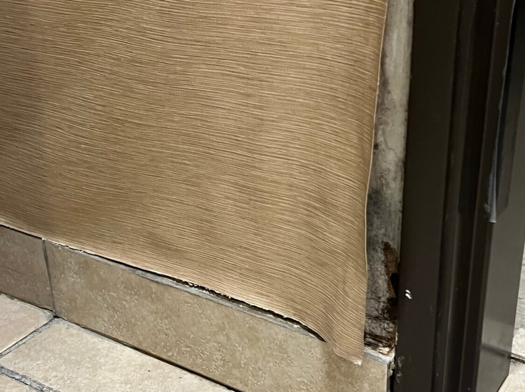 Comfort Suites Airport South主图