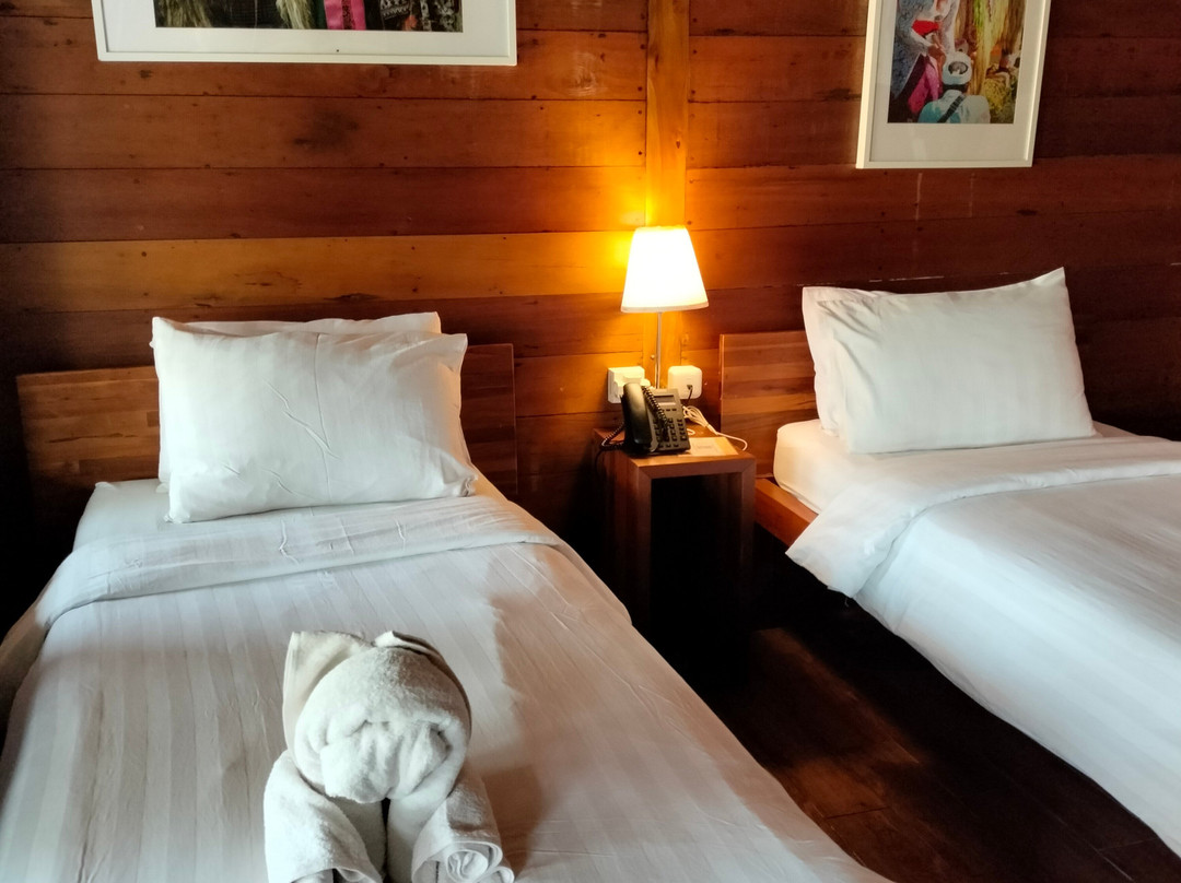 Coconut Island Carita主图