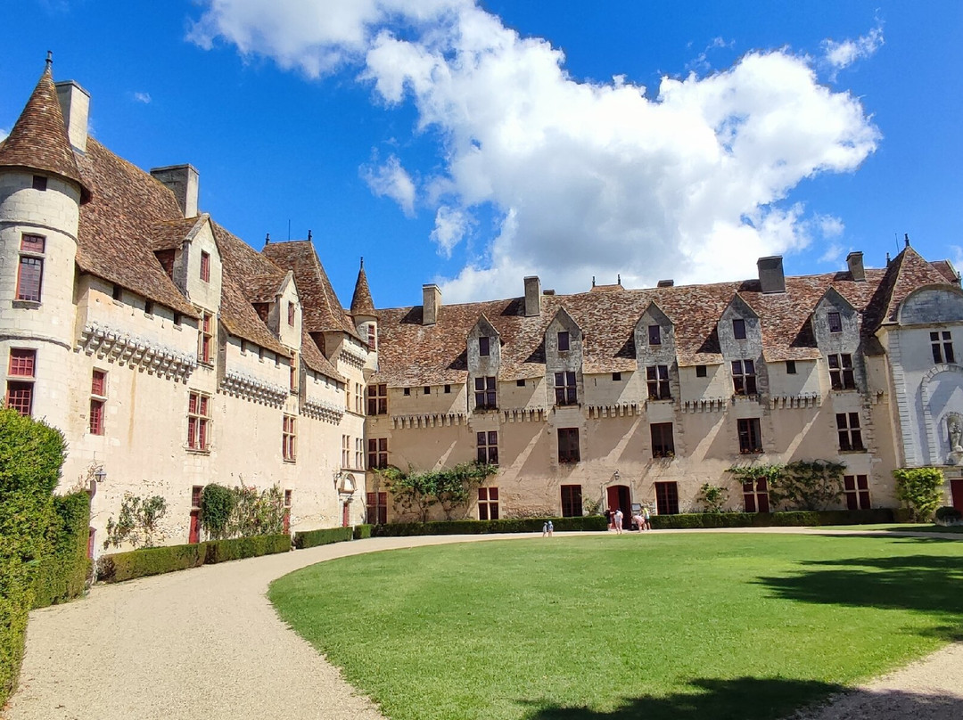 Château de Neuvic景点图片