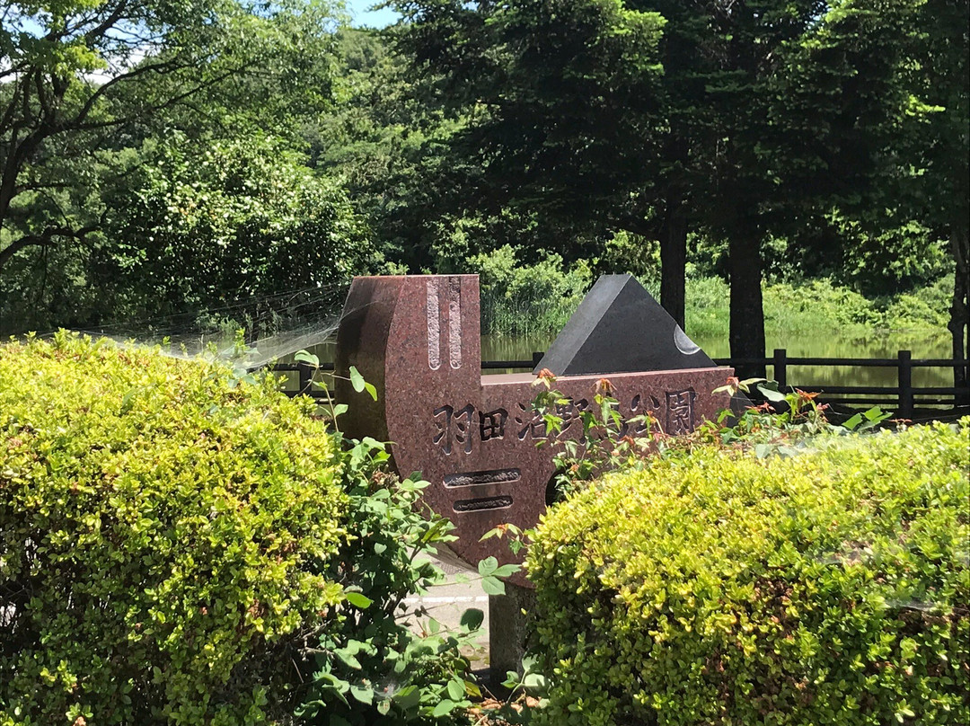 Handa Swamp-太田原市必去景点