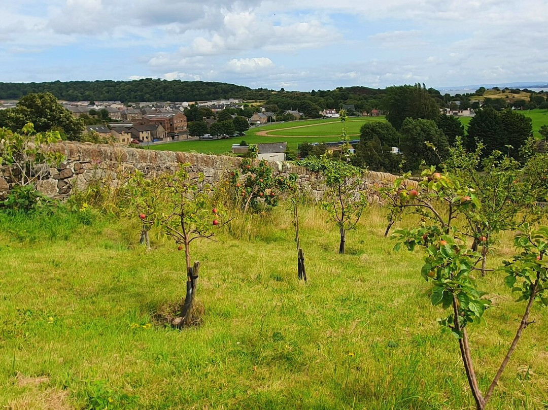 Inverkeithing Community Gardens-Inverkeithing必去景点
