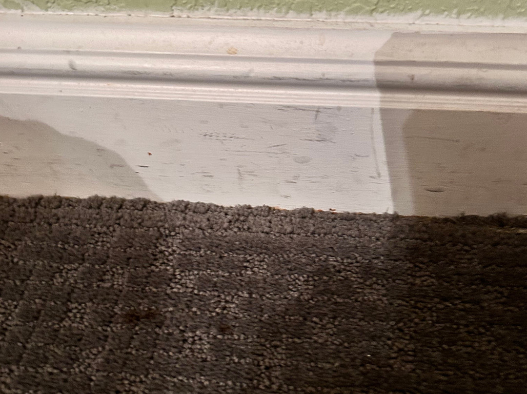 马克吐温酒店主图