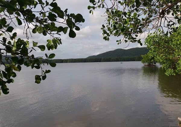 Khung Kraben Bay Royal Development Study Center-他迈必去景点