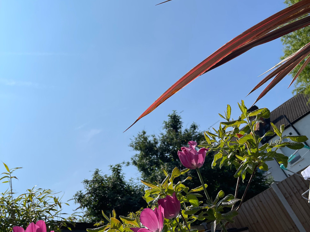 莱利乡村度假村主图