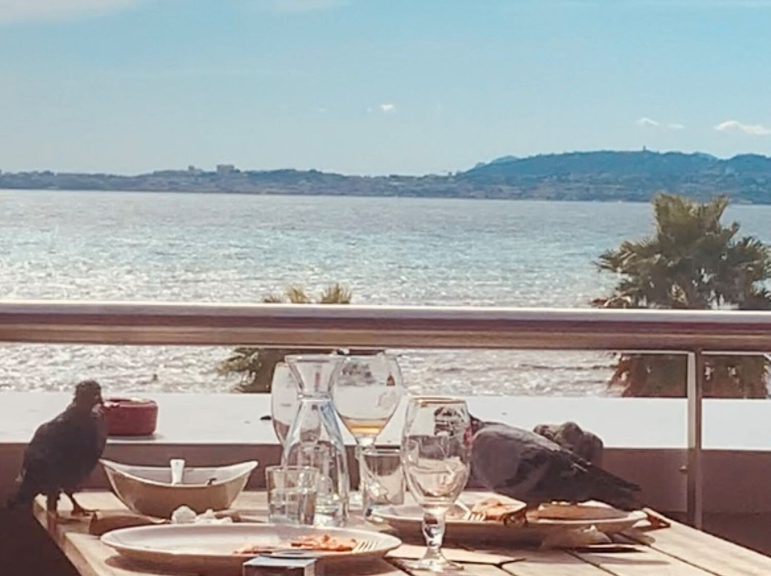 Vapiano Nice Cap 3000主图