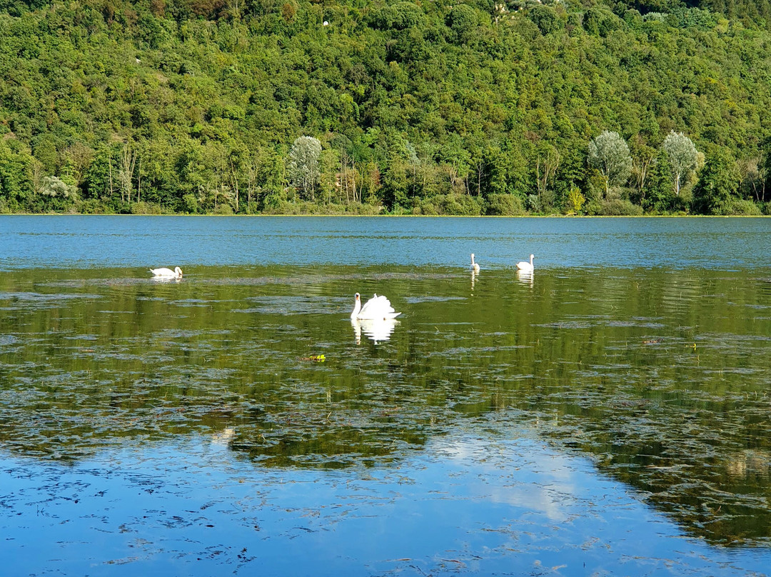 Lago di Fimon-Arcugnano必去景点