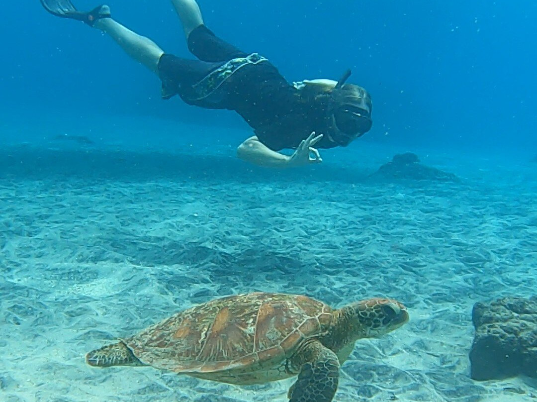 Ceningan Snorkeling Trip景点图片