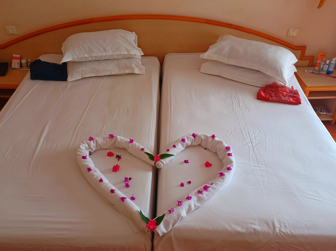 伊波罗之星贝利塞尔酒店主图