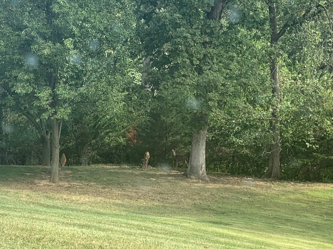 Jefferson Barracks National Cemetery景点图片
