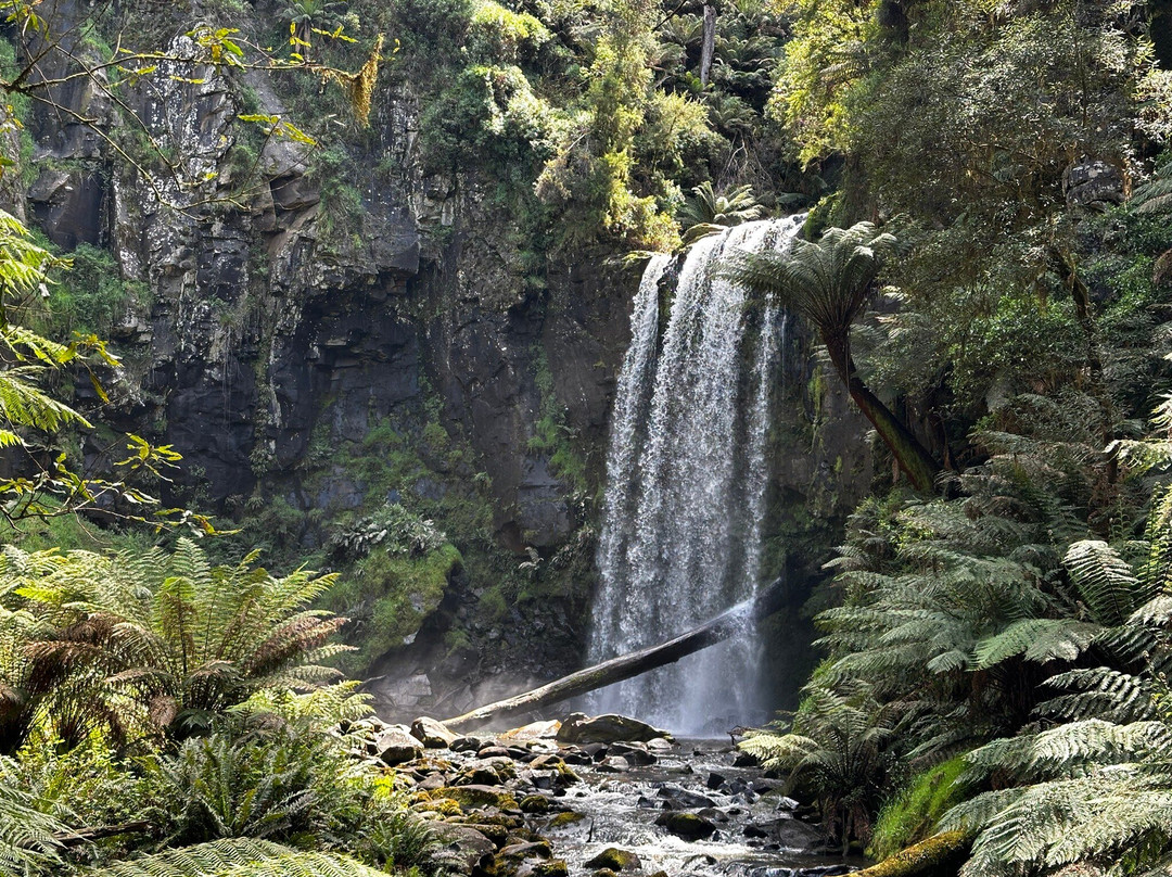 Hopetoun Falls-Beech Forest必去景点