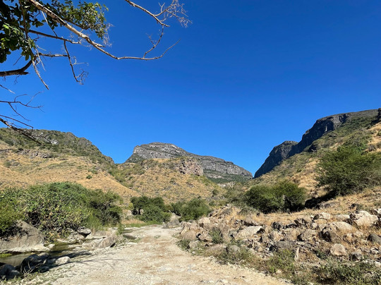 Salalah Premium Tours-塞拉莱必去景点