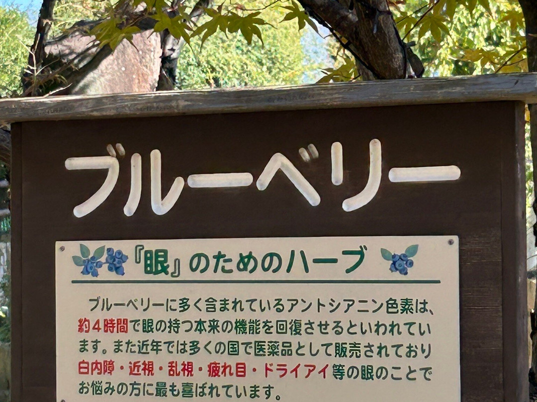 Herb Garden Tabinikki景点图片