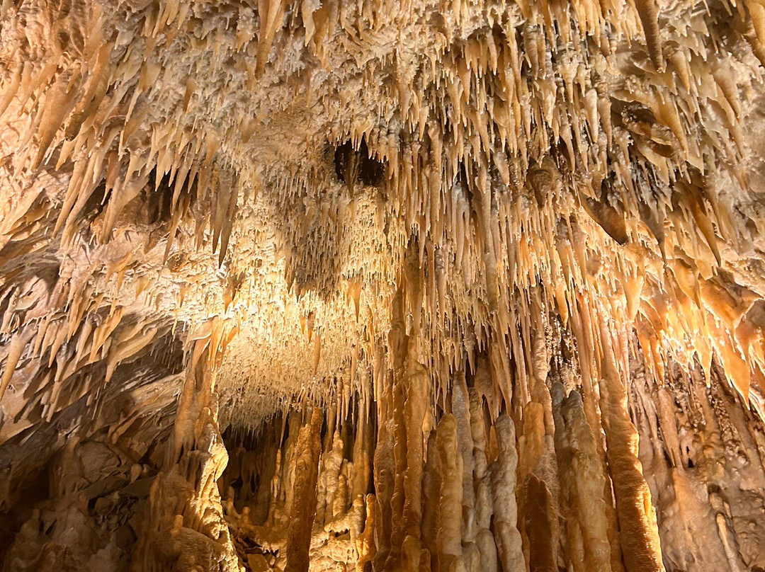 Grotte de Villars景点图片