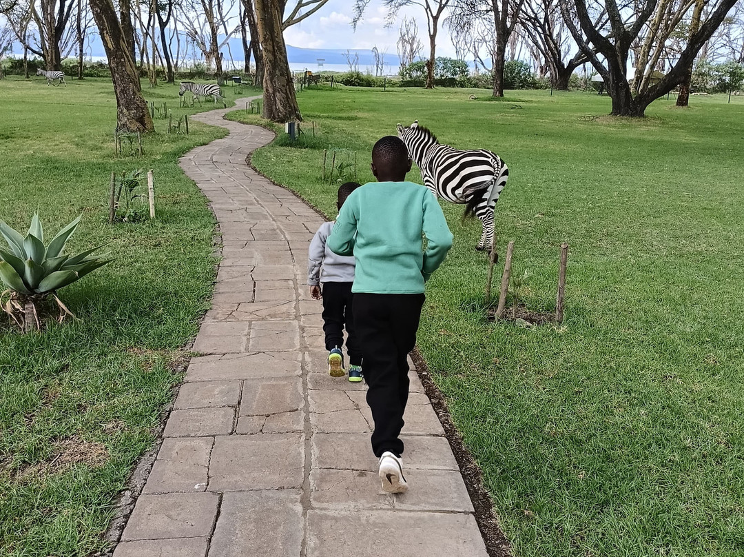 奈瓦沙索帕湖狮子木屋旅馆主图