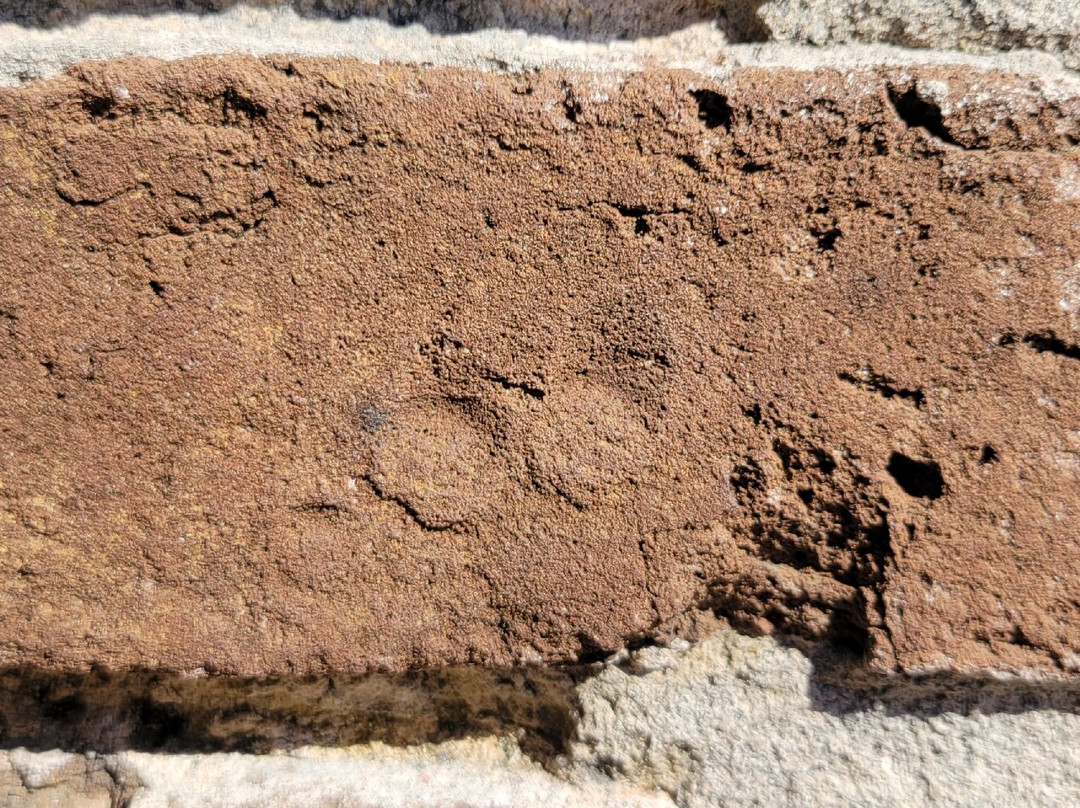 Fort Sumter Tours-查尔斯顿必去景点