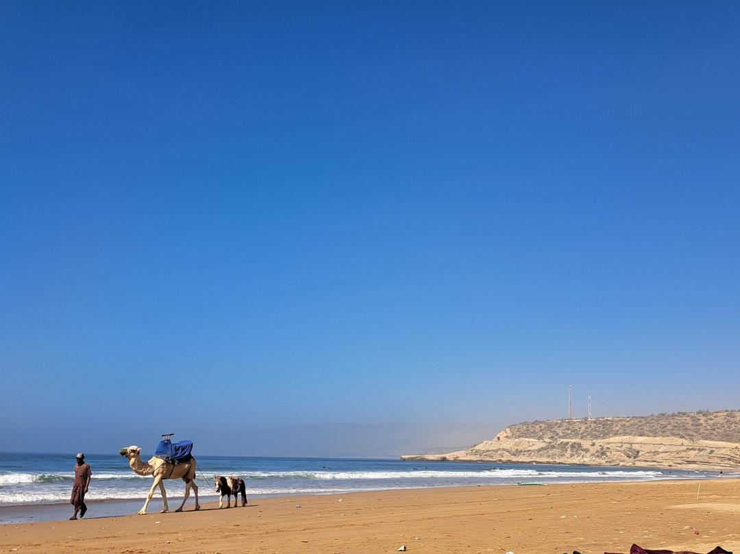 Surf Star Morocco景点图片