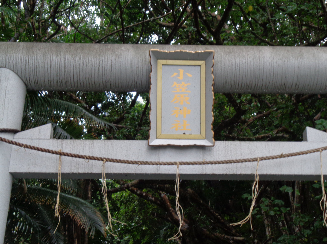 Ogasawara Shrine景点图片