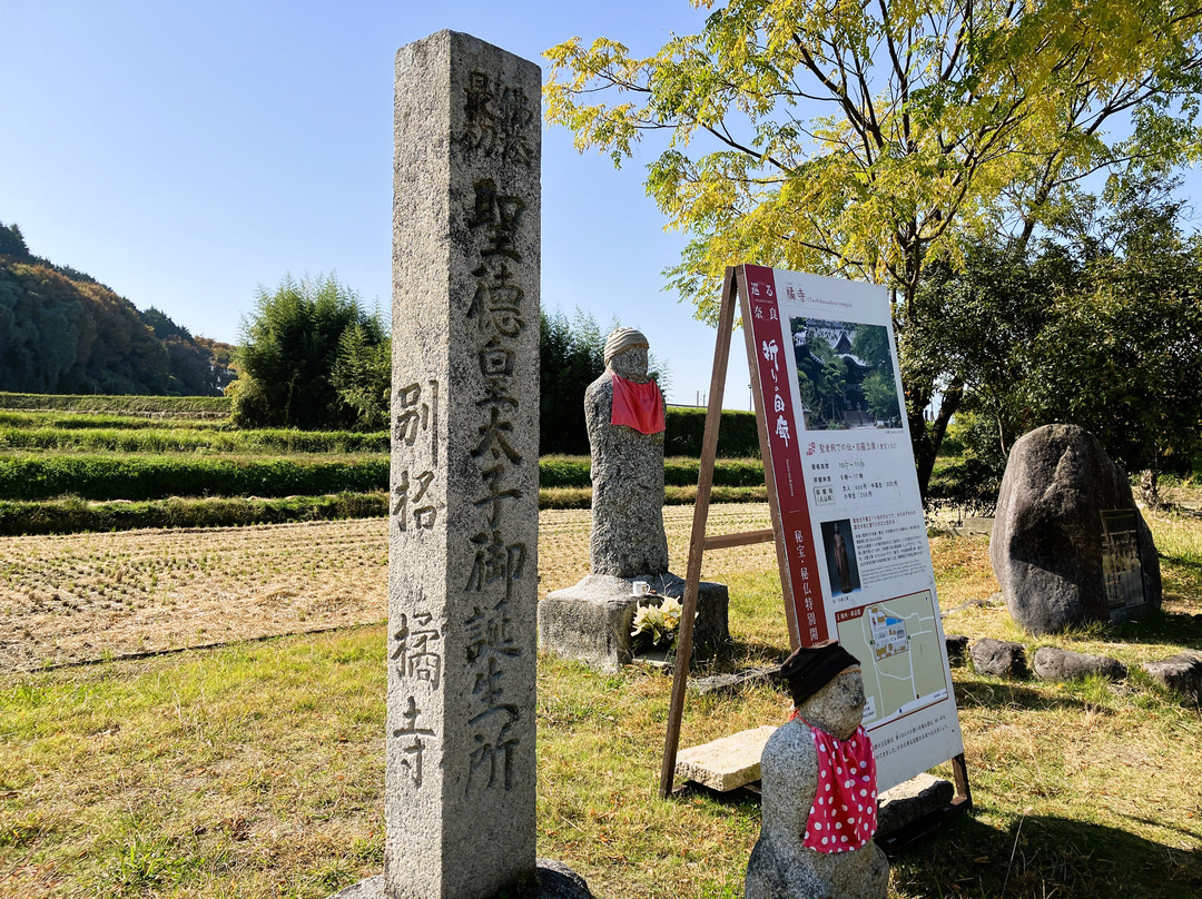 Tachibana-dera Temple景点图片