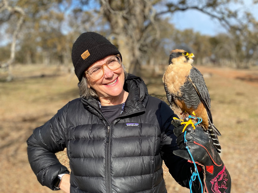 West Coast Falconry景点图片