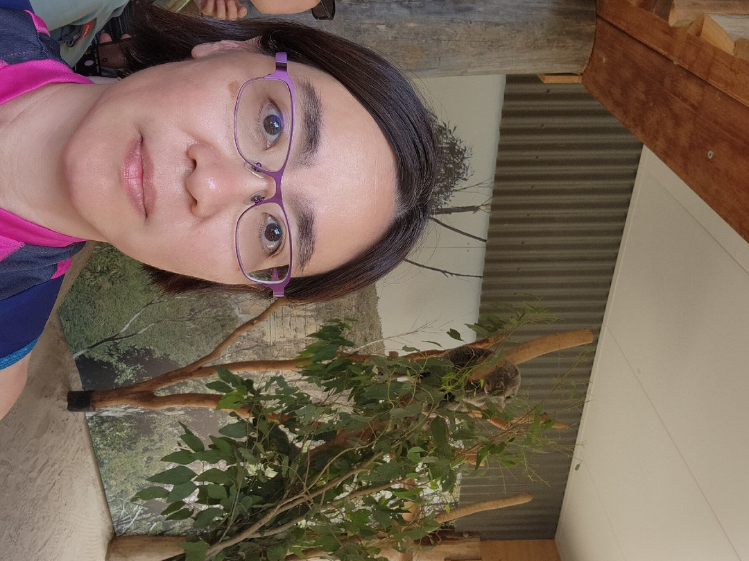 Diamond Tours-悉尼必去景点