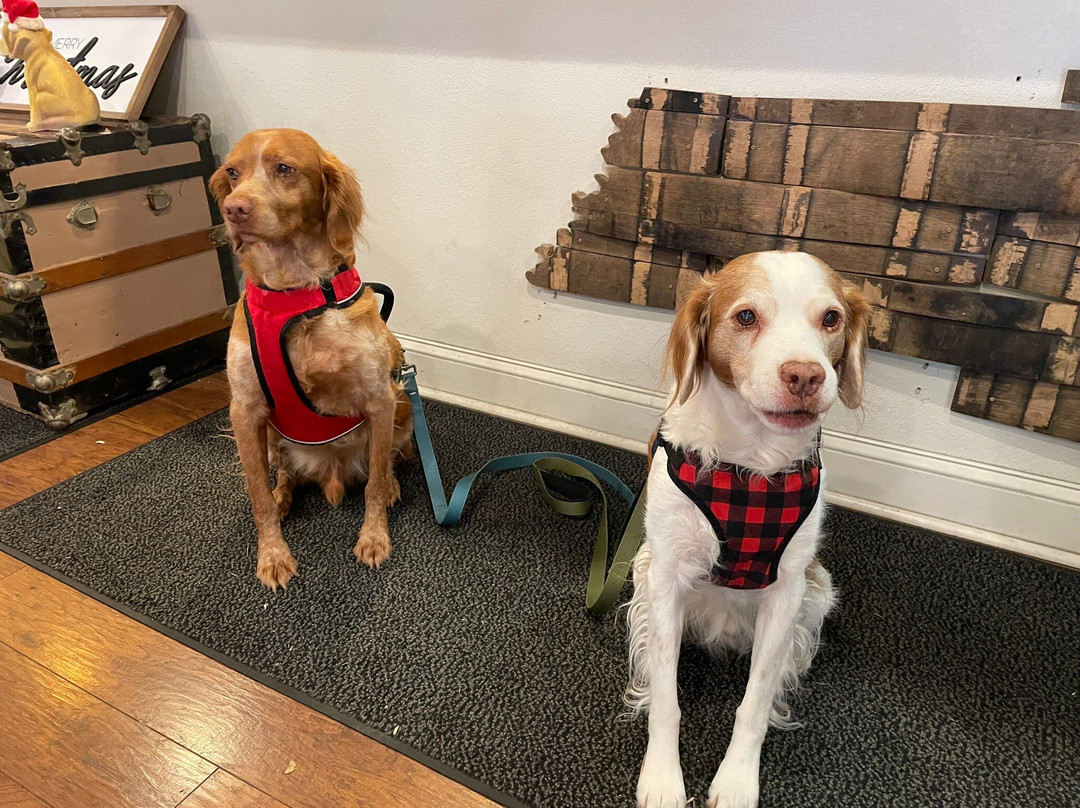 King's Family Distillery-塞维尔维尔必去景点