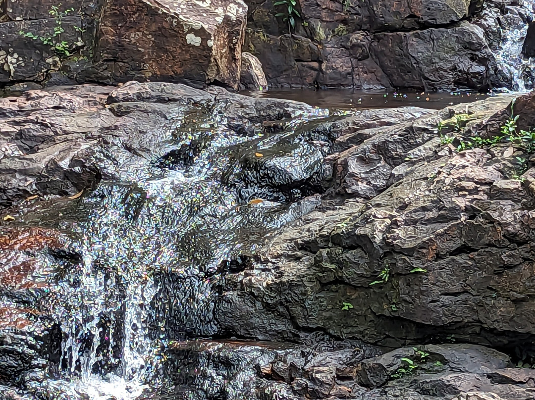 Bong's Guesthouse主图