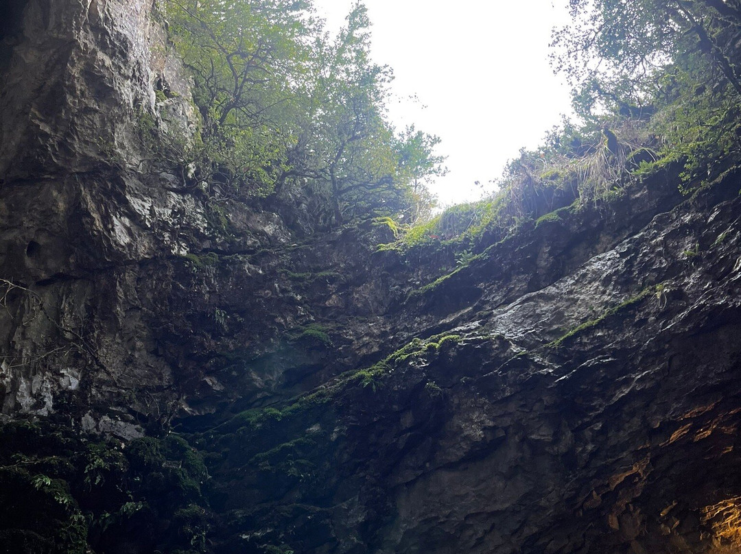 Cueva de las Güixas景点图片