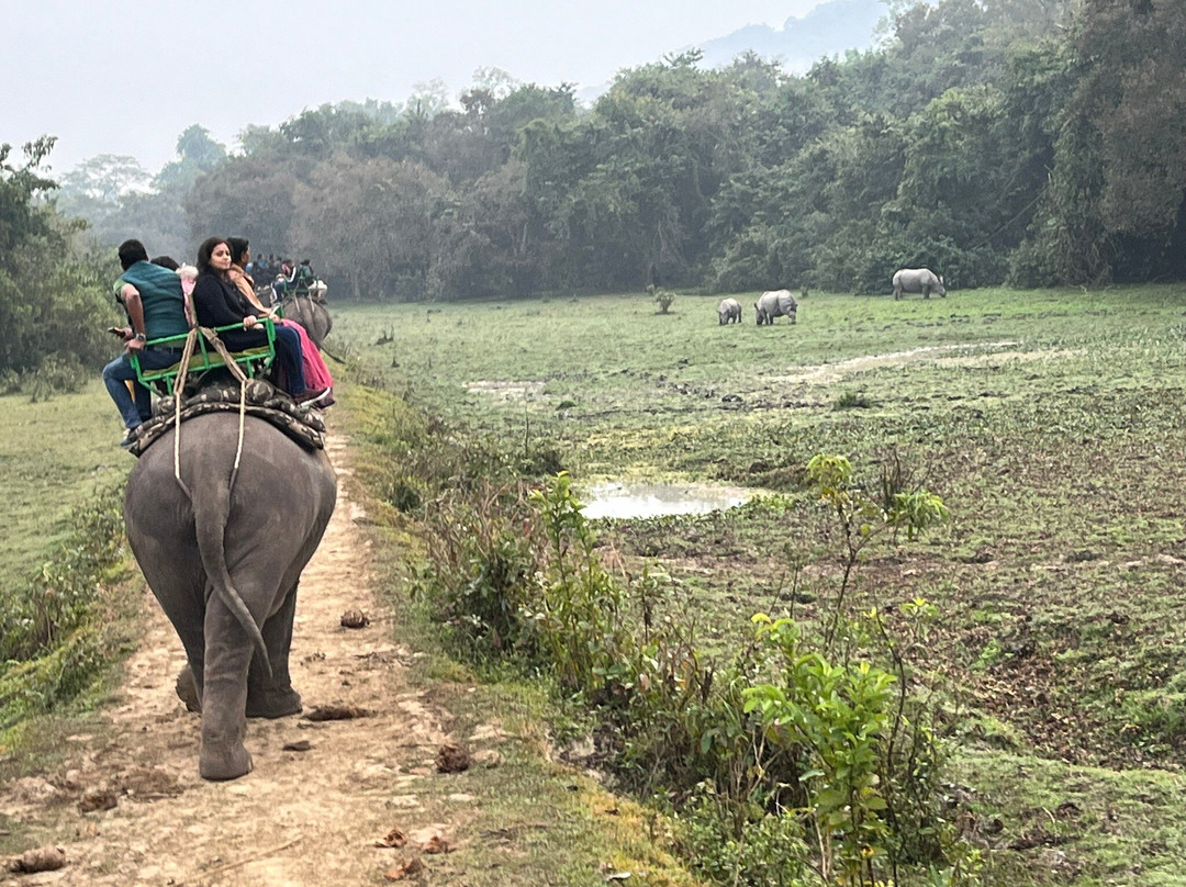 Kaziranga Adventures景点图片