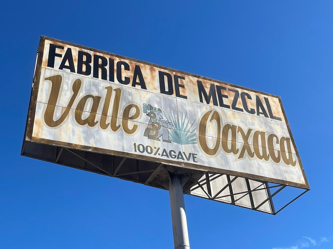 Oaxacool tours & experiences-瓦哈卡必去景点
