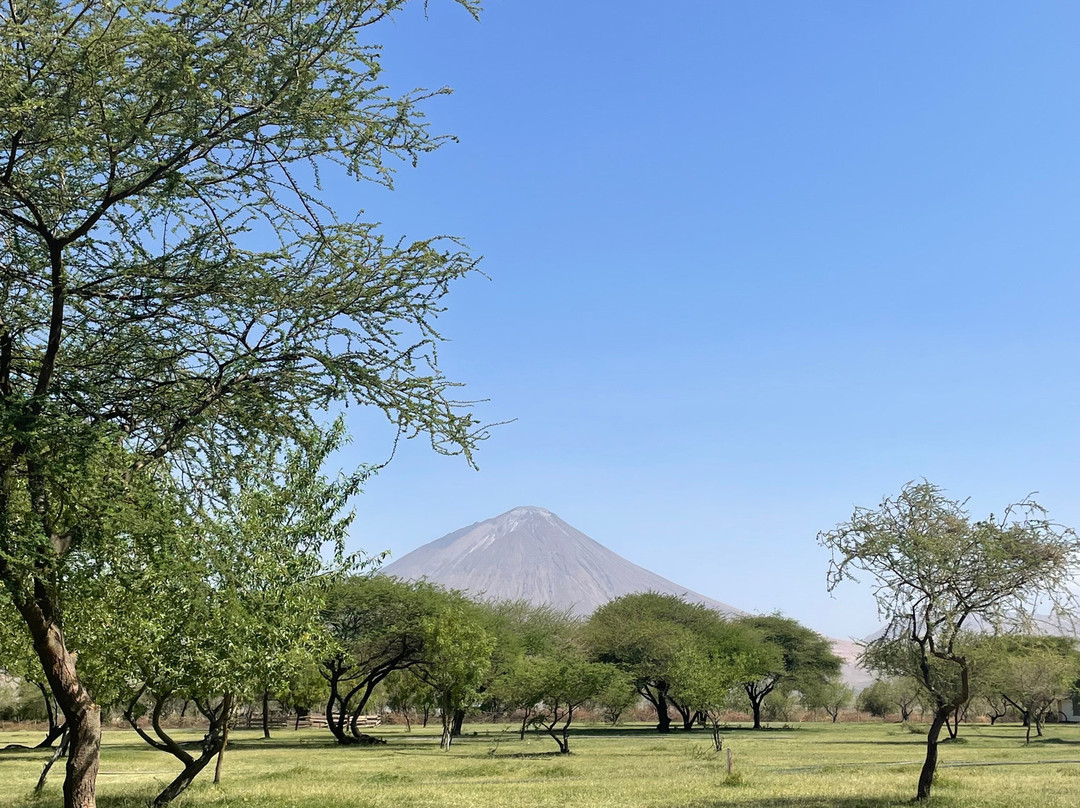 Safari And Trekking Africa-阿鲁沙必去景点