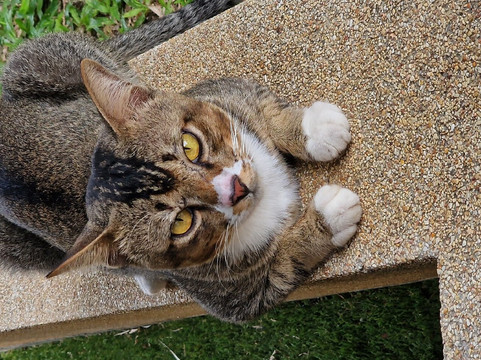 普吉岛奥瑞别墅主图