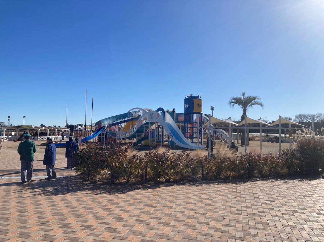 Tokyo Racecourse-府中市必去景点