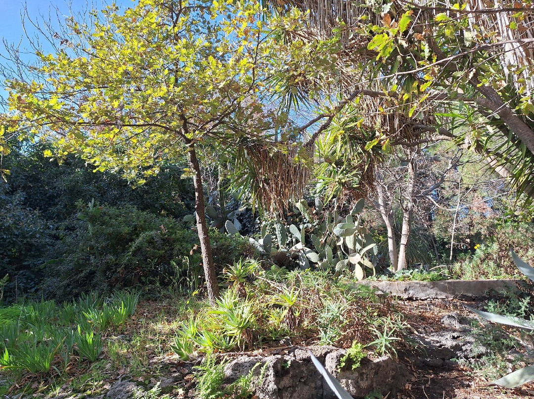 Etna Botanic Garden主图