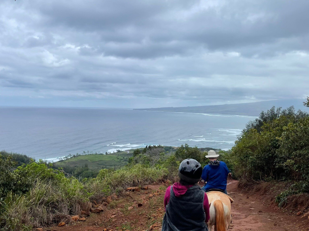 Maui Mountain Activities, LLC景点图片