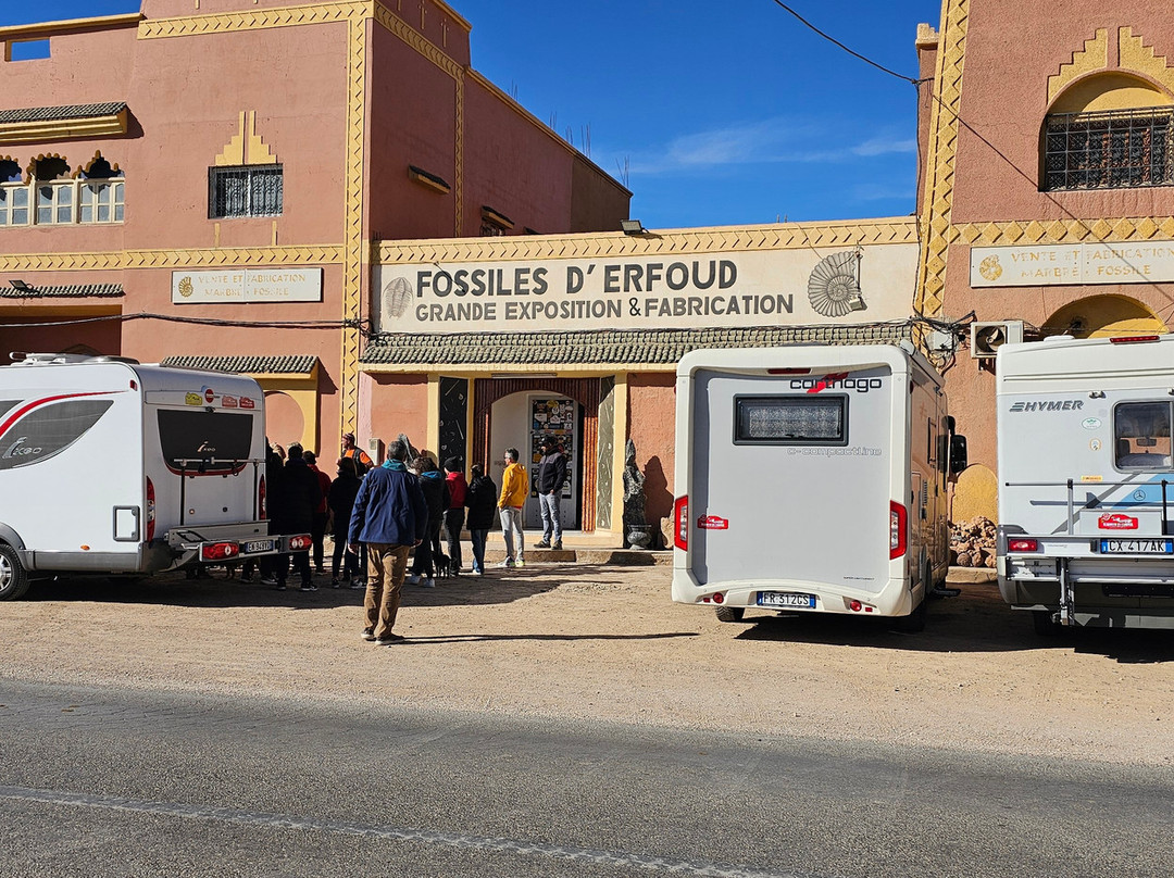 Fossiles d'Erfoud-Erfoud必去景点