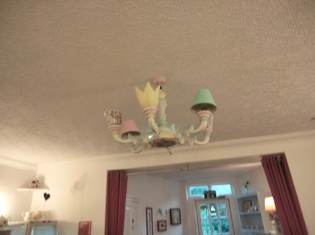 Tynemouth 61 Guest House and Tea Rooms主图